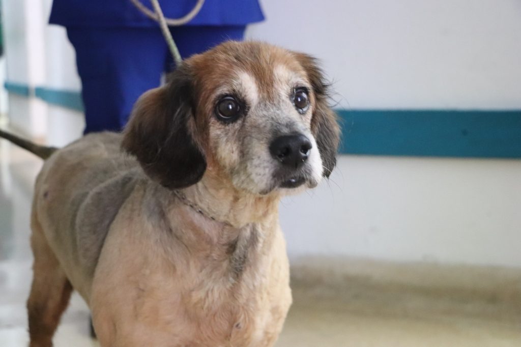 WhatsApp Image 2025 12 11 at 6.31.30 AM