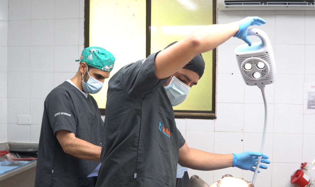 WhatsApp Image 2025 12 11 at 6.31.32 AM