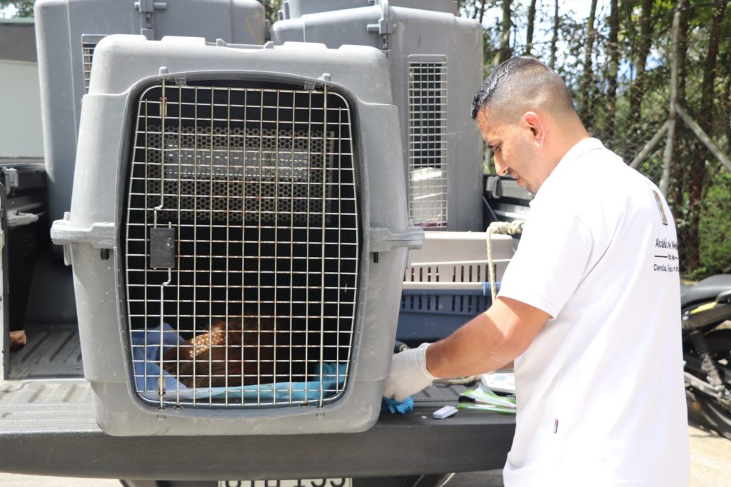 WhatsApp Image 2025 12 11 at 6.31.33 AM