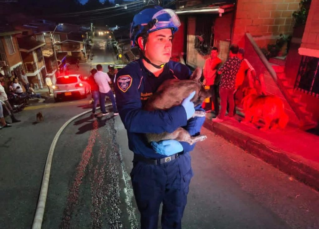 WhatsApp Image 2025 12 15 at 09.40.53