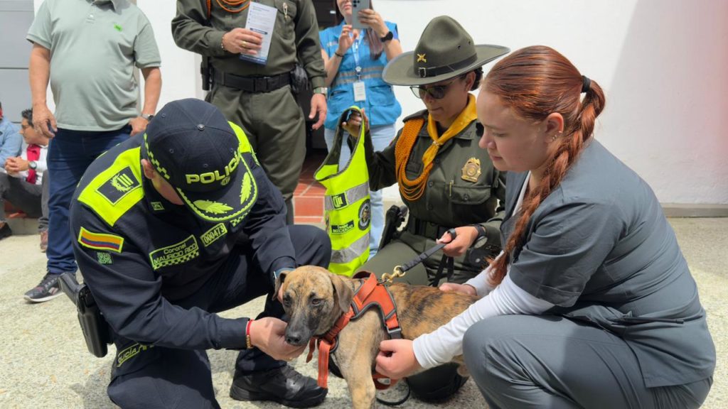 WhatsApp Image 2025 12 17 at 08.46.22