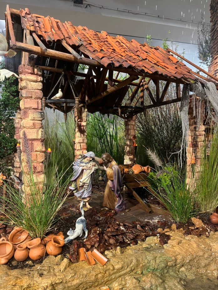 WhatsApp Image 2025-12-18 at 11.20.44 AM