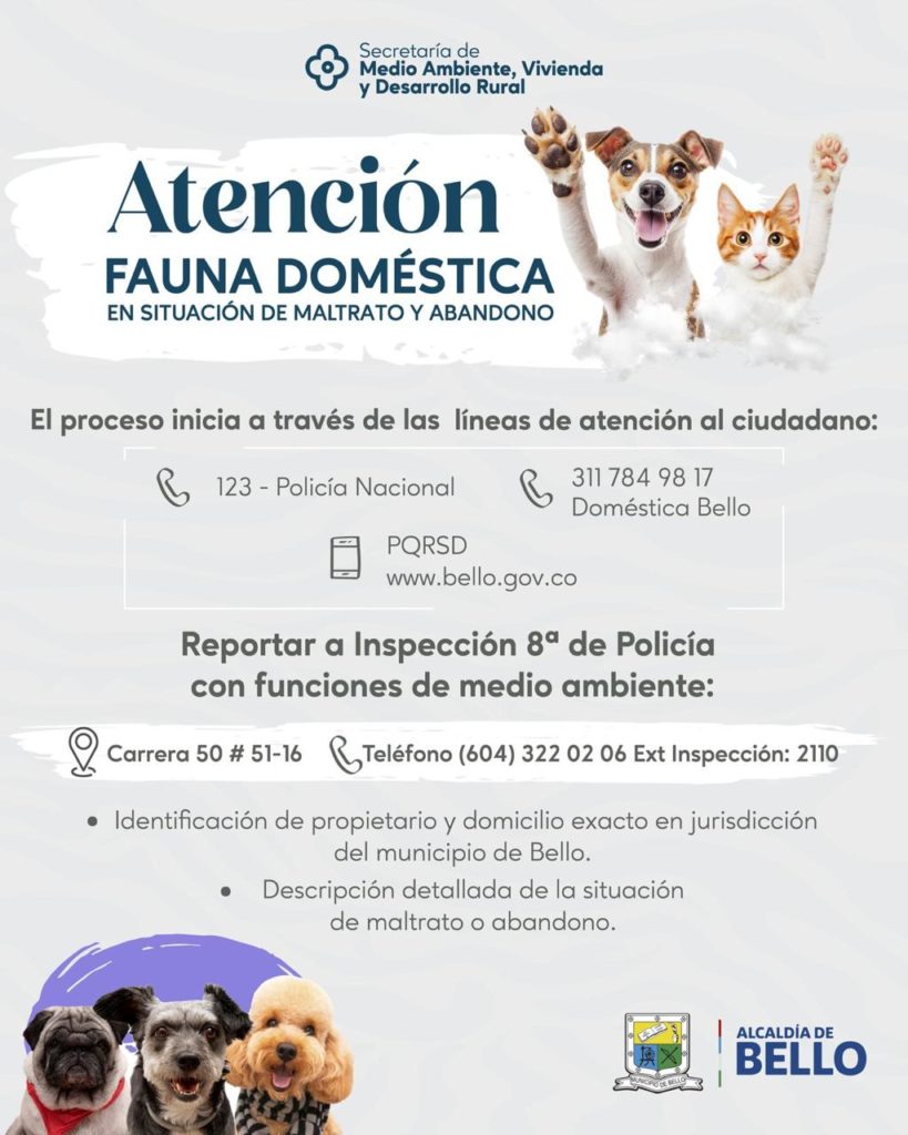 WhatsApp Image 2025 12 19 at 12.35.42