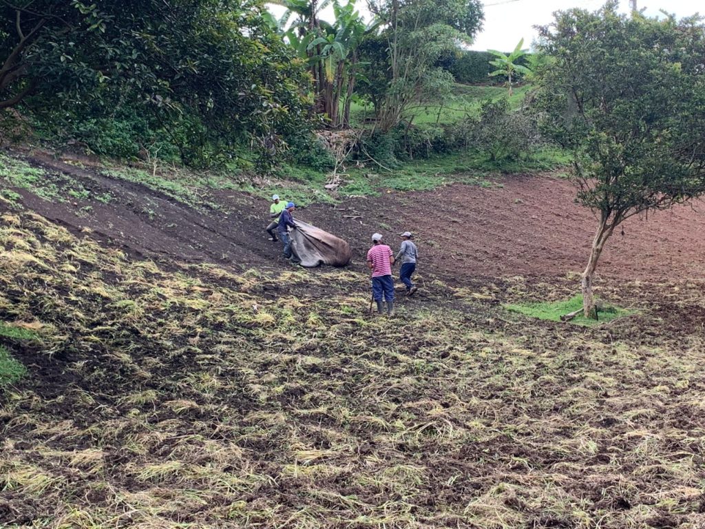 WhatsApp Image 2025 12 19 at 6.45.55 AM 1