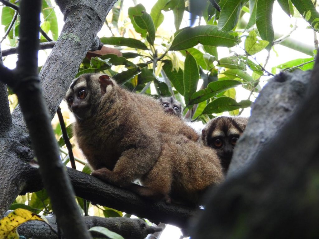 WhatsApp Image 2025 12 19 at 7.07.07 AM 1