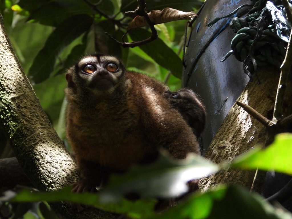 WhatsApp Image 2025 12 19 at 7.07.07 AM