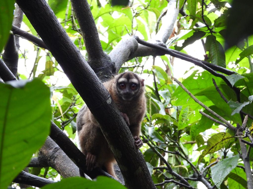 WhatsApp Image 2025 12 19 at 7.07.08 AM