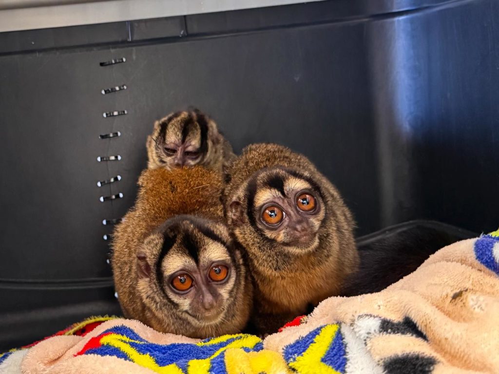 WhatsApp Image 2025 12 19 at 7.07.11 AM