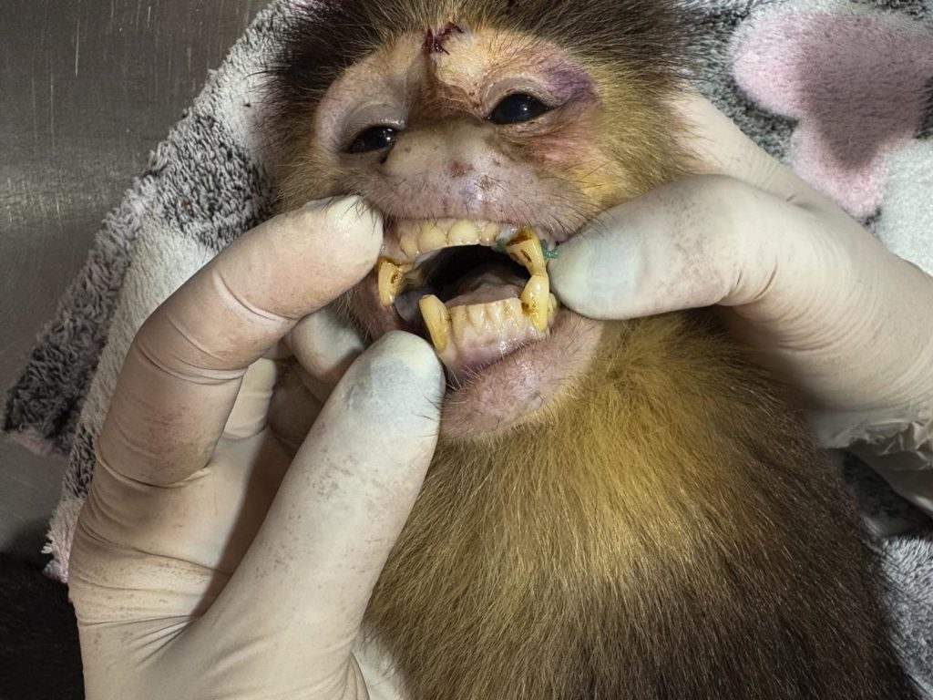 WhatsApp Image 2025 12 22 at 7.29.58 AM