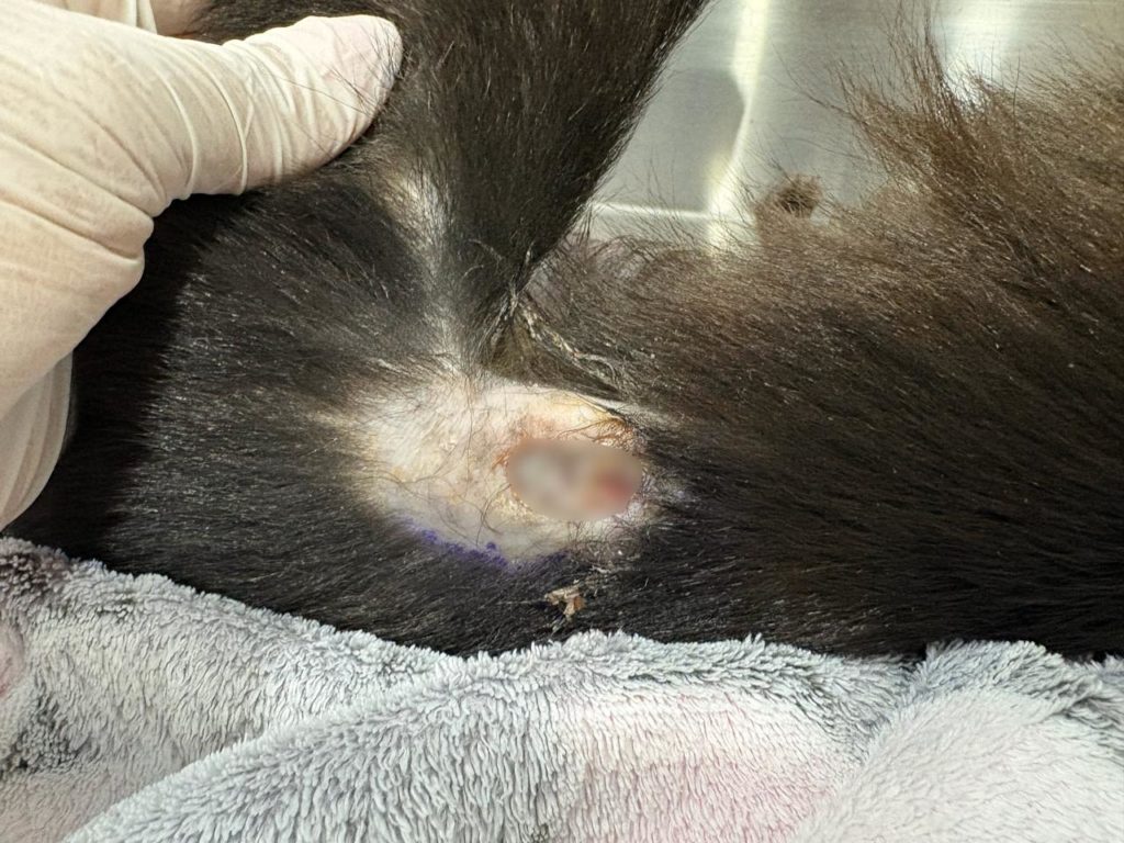 WhatsApp Image 2025 12 22 at 7.29.59 AM 1