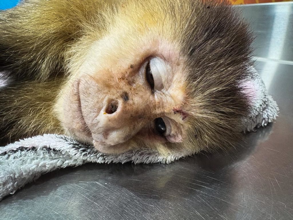 WhatsApp Image 2025 12 22 at 7.29.59 AM