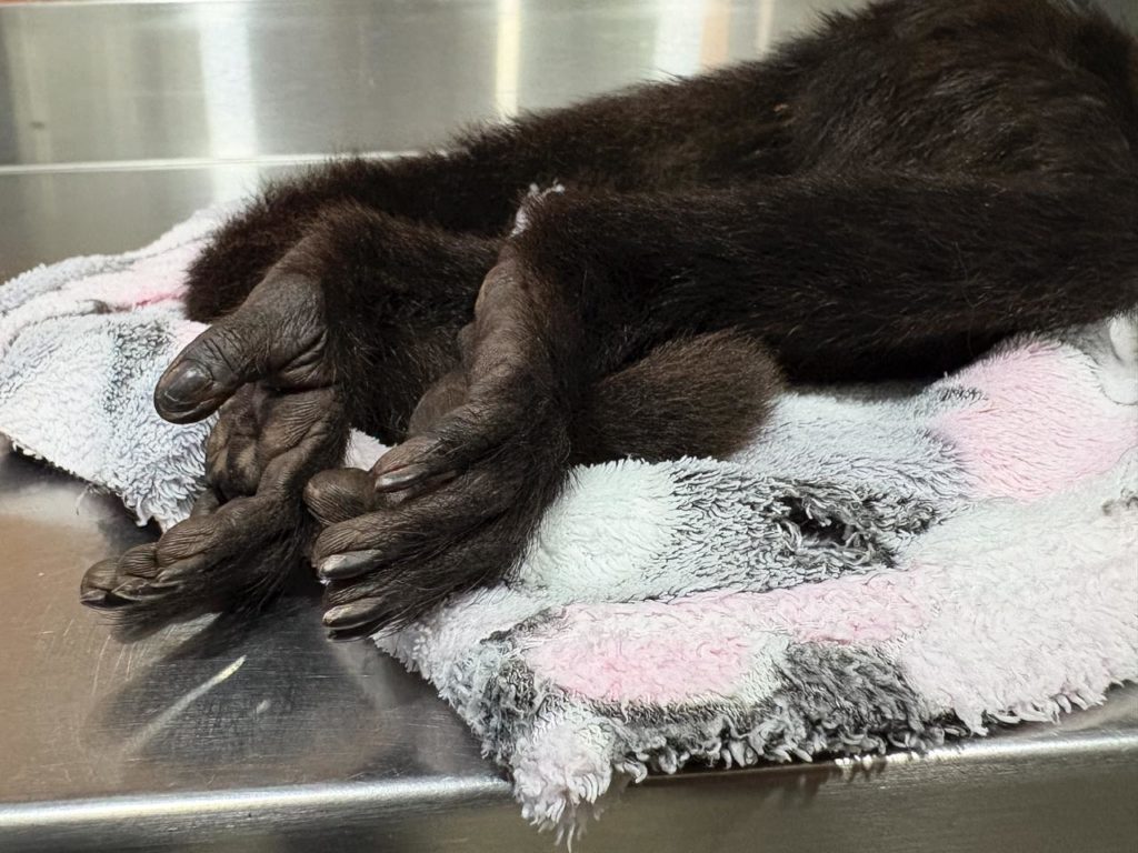 WhatsApp Image 2025 12 22 at 7.29.59 AM 2