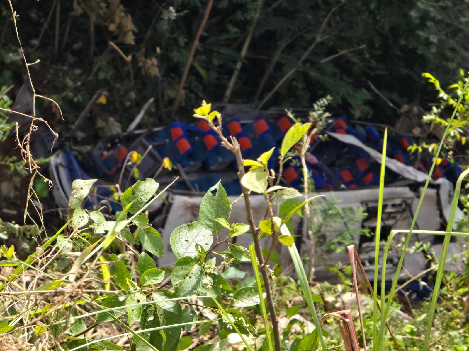 Campaña ciudadana busca recuperar pertenencias de víctimas de accidente en Remedios