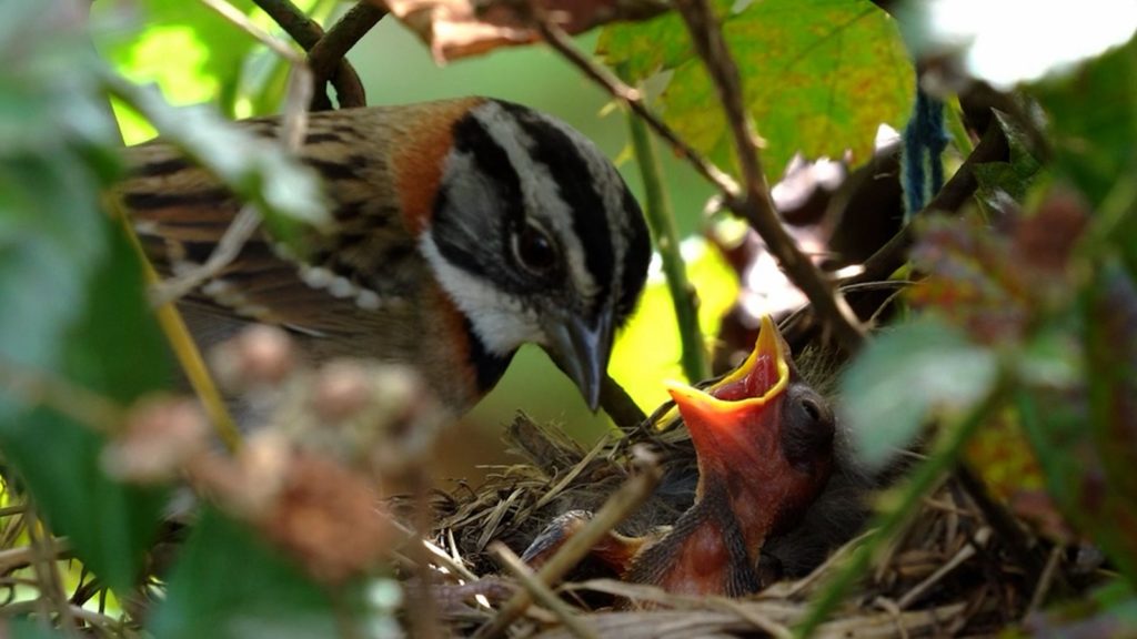 WhatsApp Image 2025 12 23 at 10.37.55 1