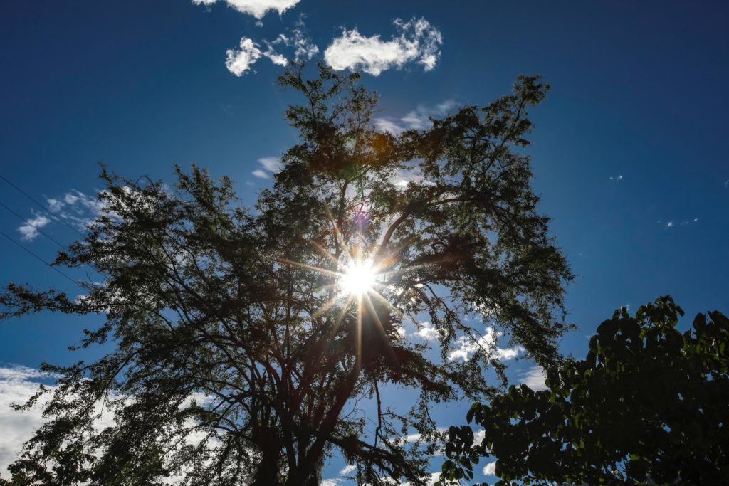 WhatsApp Image 2025 12 23 at 6.37.54 AM