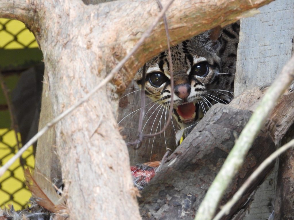 WhatsApp Image 2025 12 29 at 9.33.55 AM