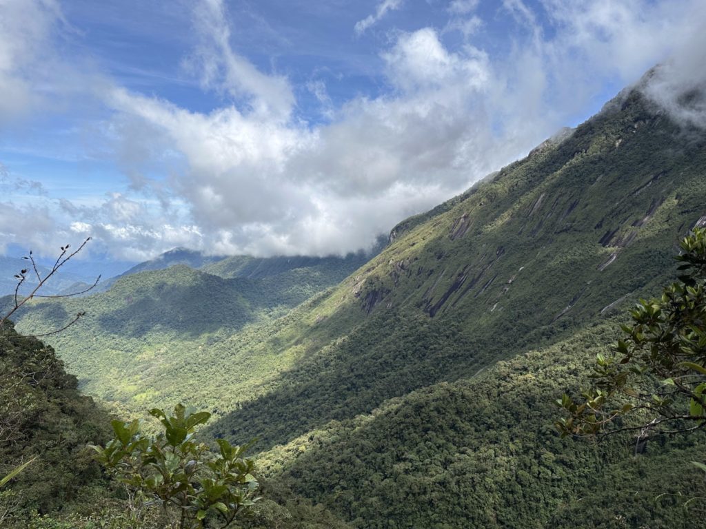 WhatsApp Image 2025 12 31 at 10.34.32 AM 1