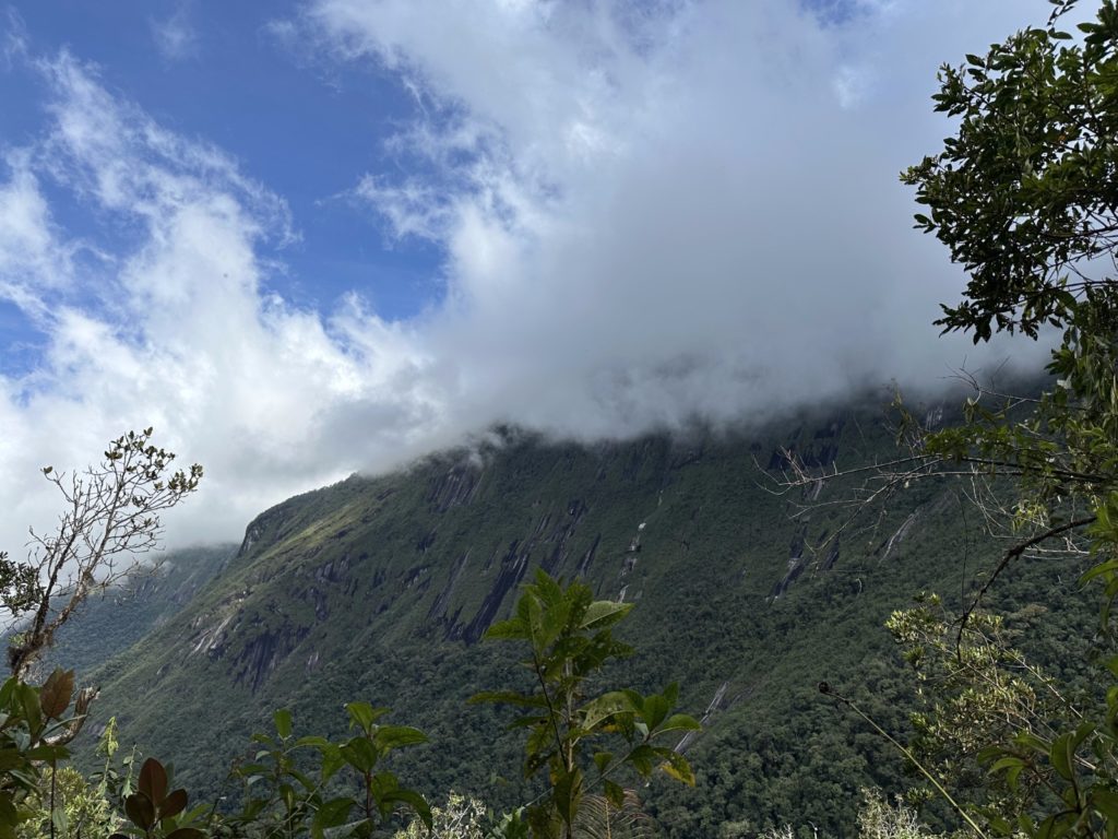 WhatsApp Image 2025 12 31 at 10.34.33 AM 1