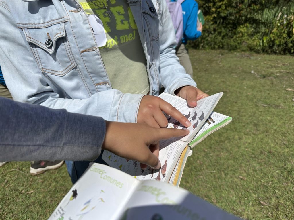 WhatsApp Image 2025 12 31 at 10.34.34 AM