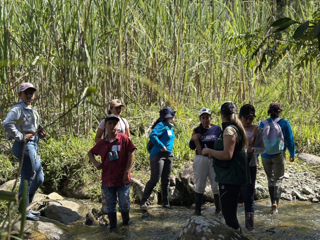 WhatsApp Image 2025 12 31 at 10.34.35 AM 1