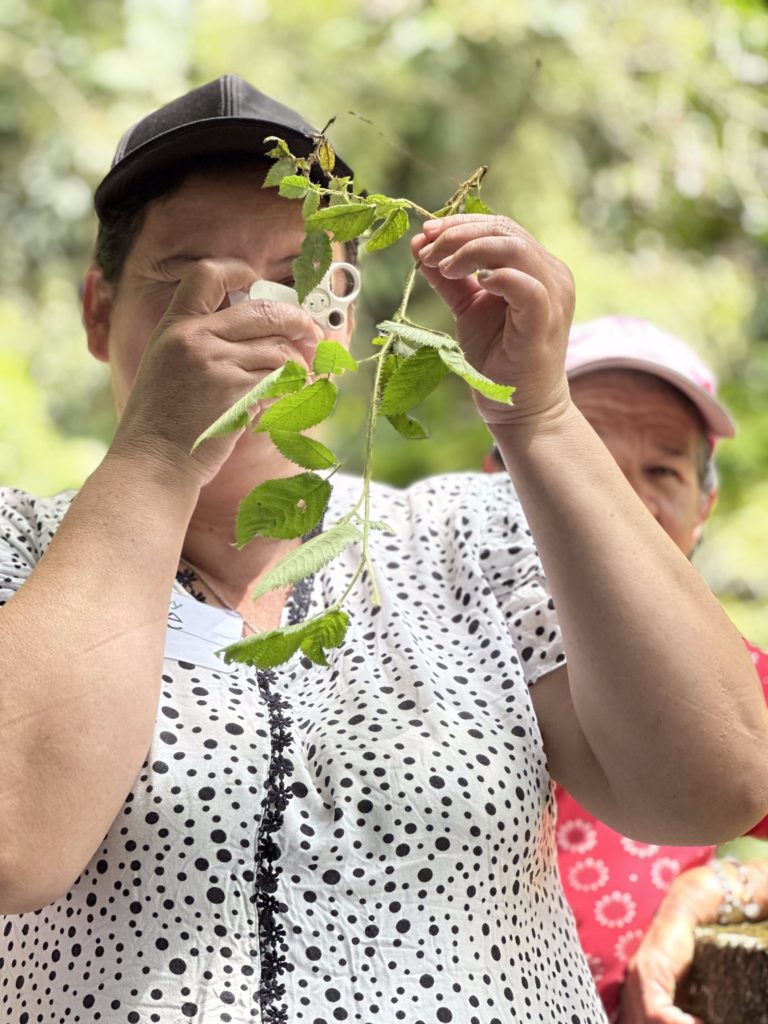 WhatsApp Image 2025 12 31 at 10.34.35 AM