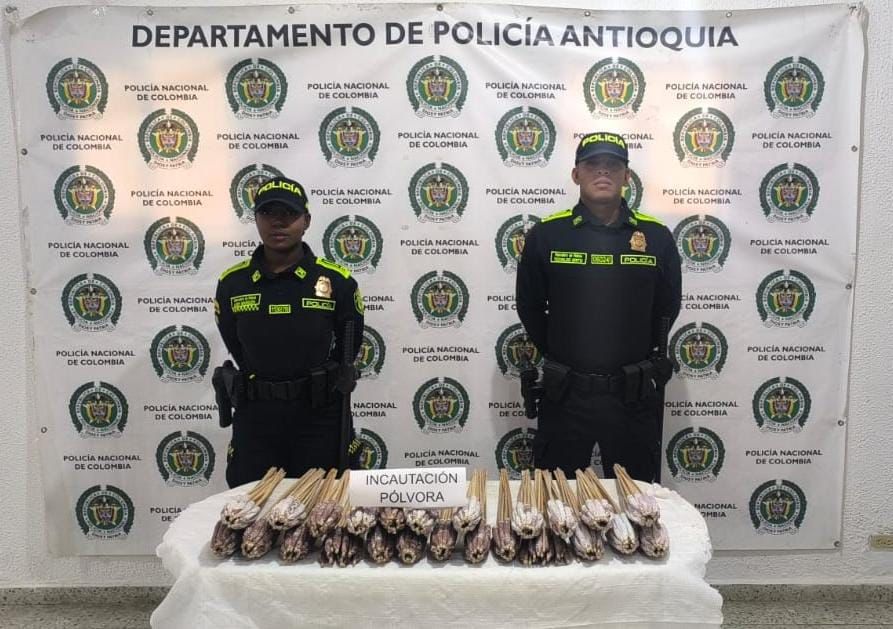 WhatsApp Image 2025 12 31 at 11.06.49 AM 1