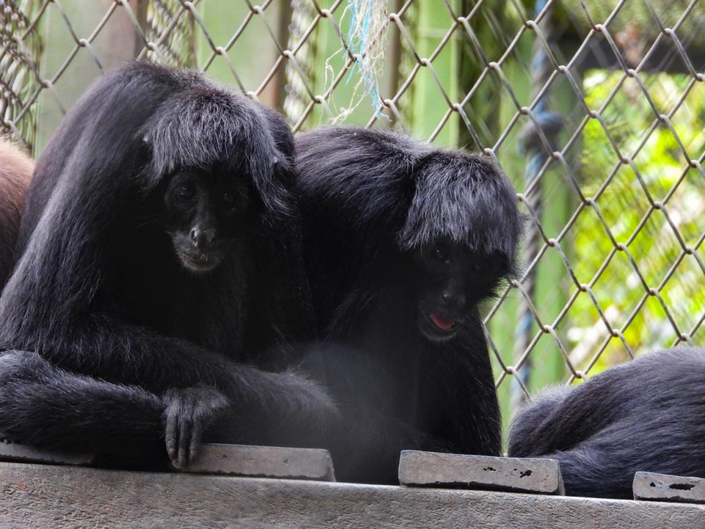 a857a013 0d8f 4cc7 aba7 aac29b4af5a4