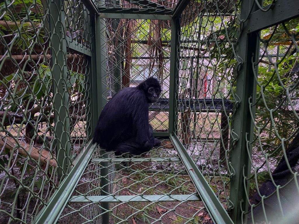 ac06e70a 2302 42ab ba4d 33e33296b0ab