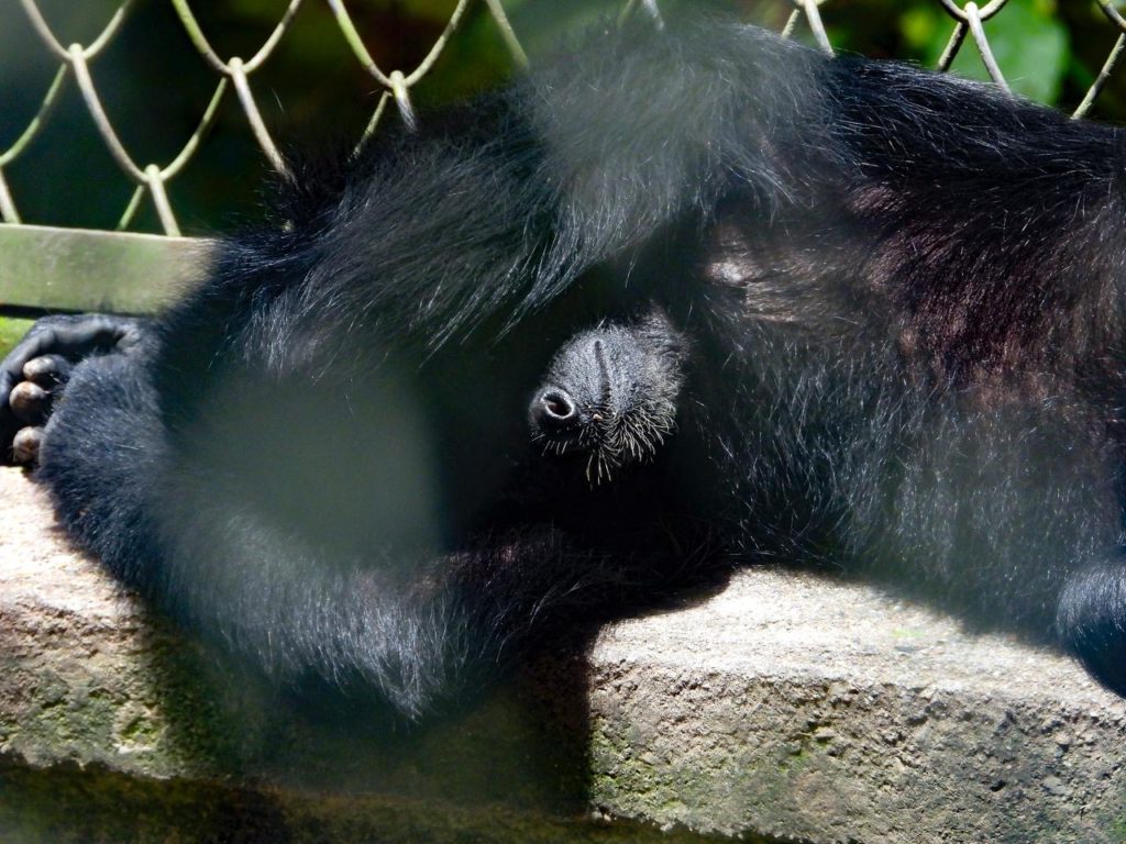 dfe1437d e97f 4651 91e8 868418de9470