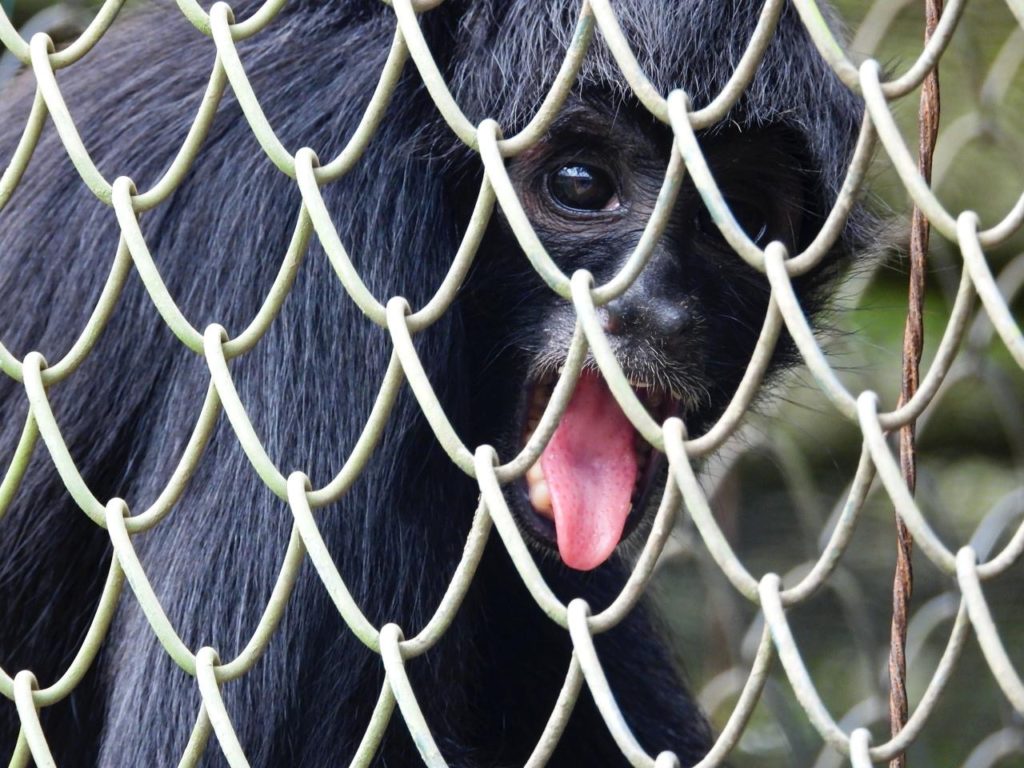 ed4edef3 2b83 4f8d 9db4 5b96acd6c258