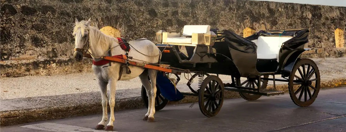 Cartagena deja atrás los coches de tracción animal