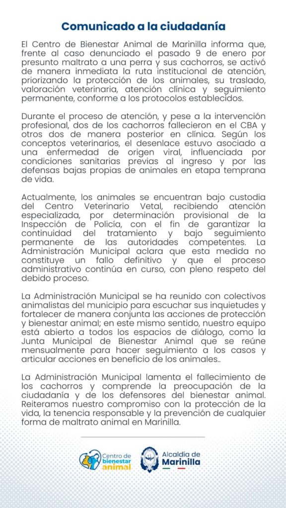 33433d7d e242 4b5f 94f3 b39a00f9920a