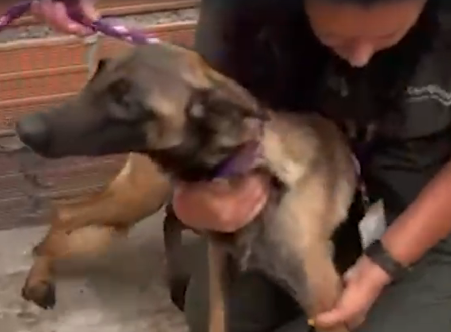 Captura de pantalla 2026 01 09 181312