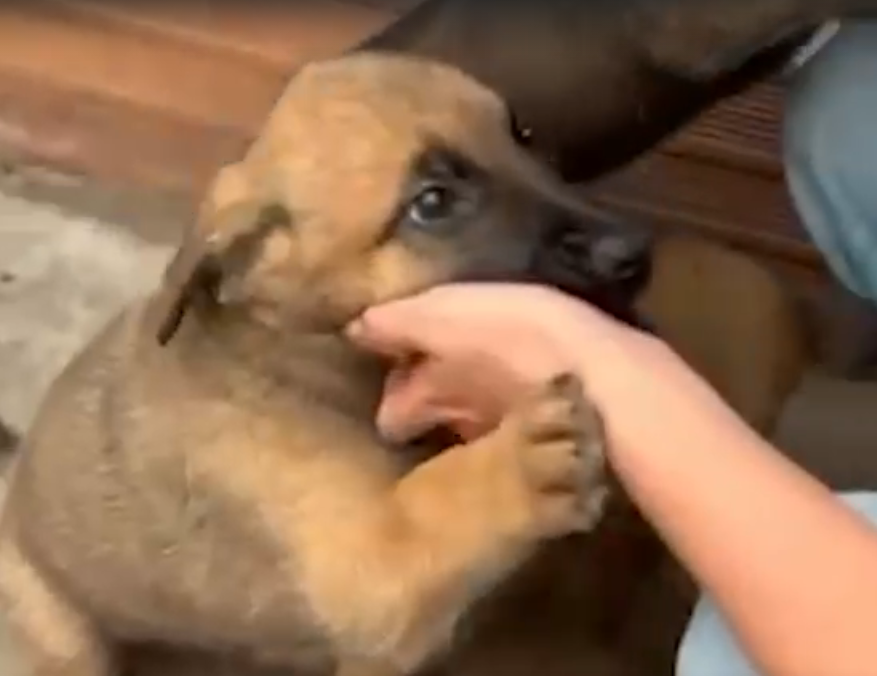 Captura de pantalla 2026 01 09 181337