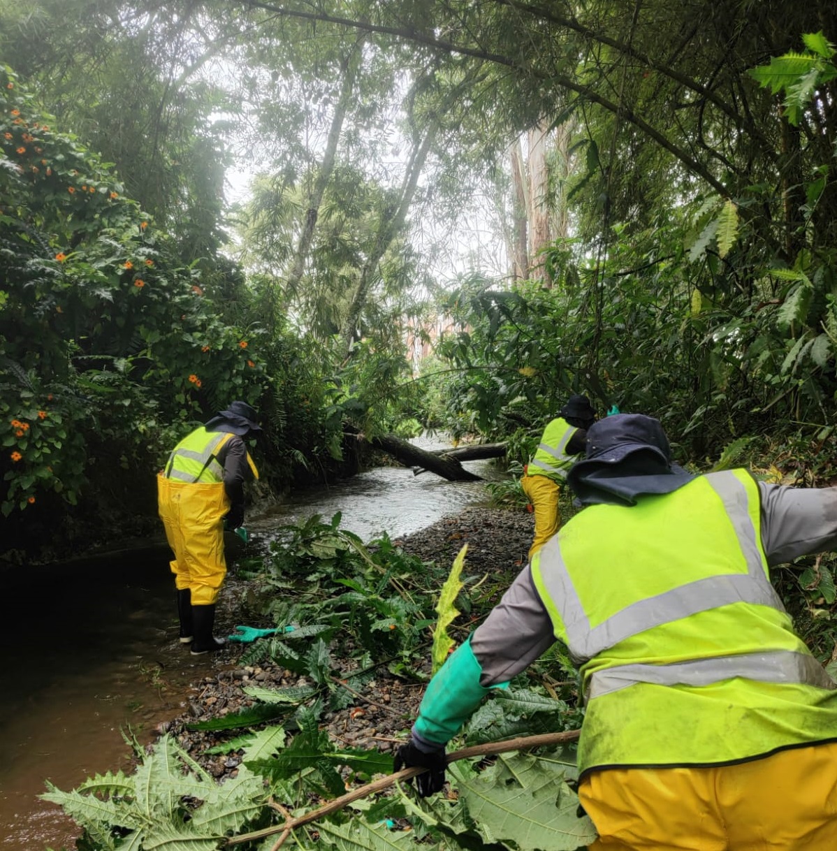 Destinan $250 millones para intervenir la quebrada La Pereira, en La Ceja, ante la temporada de lluvias