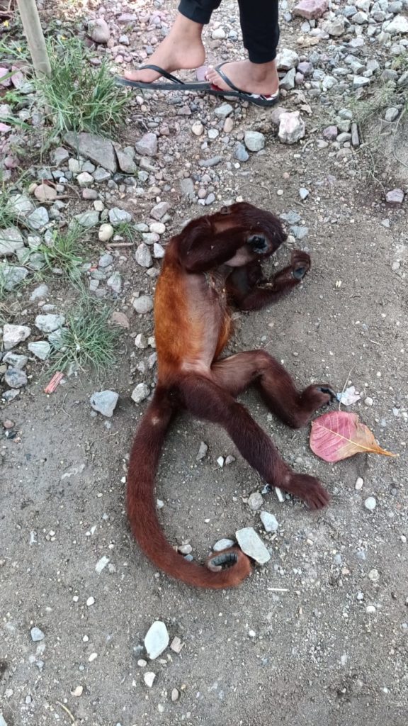 WhatsApp Image 2026 01 02 at 07.52.32