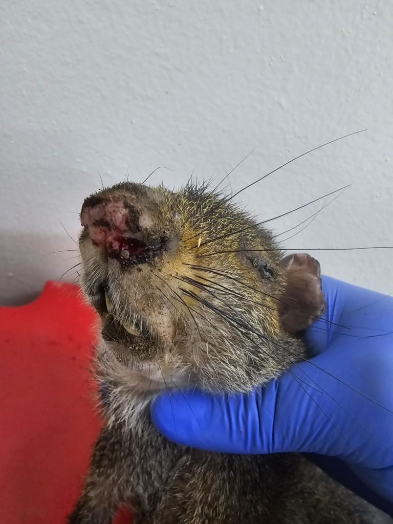 WhatsApp Image 2026 01 02 at 07.52.33