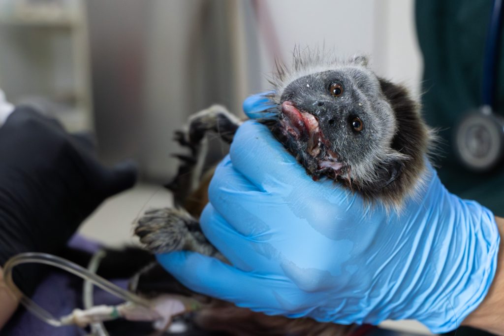 WhatsApp Image 2026 01 02 at 07.53.14 2