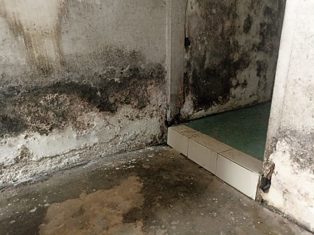 WhatsApp Image 2026 01 02 at 08.01.35