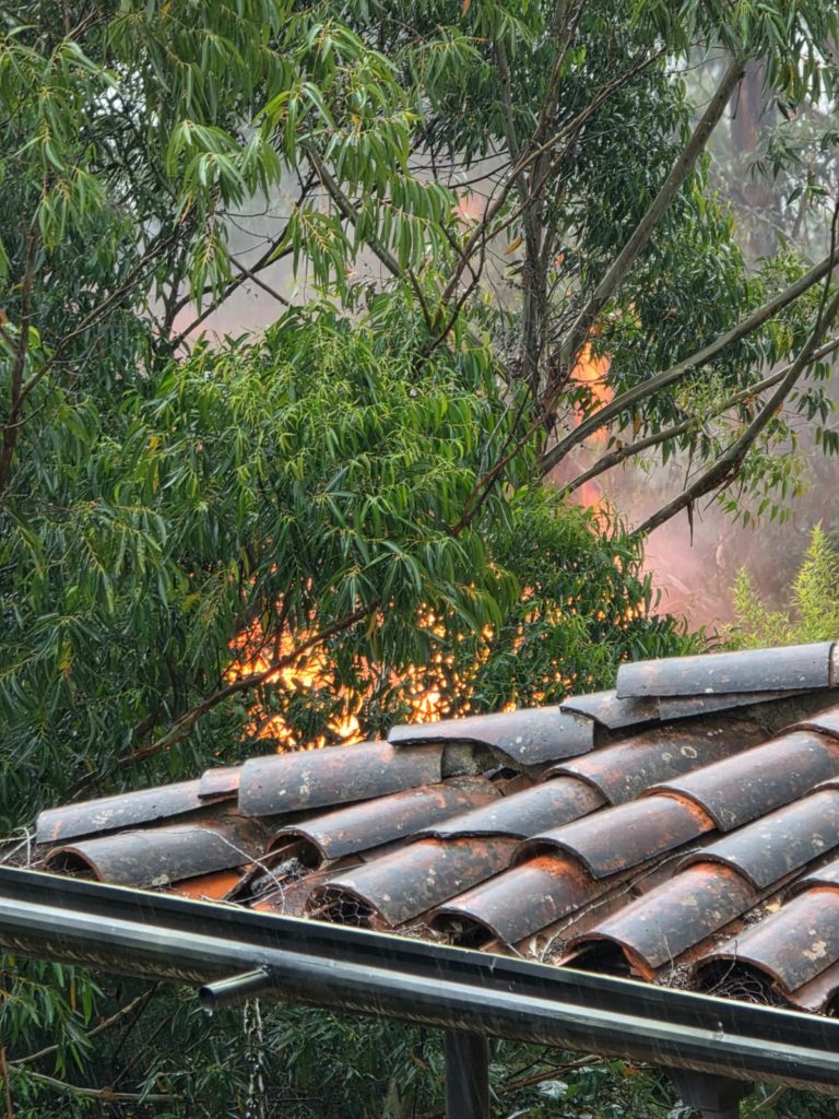 WhatsApp Image 2026 01 06 at 5.57.57 PM