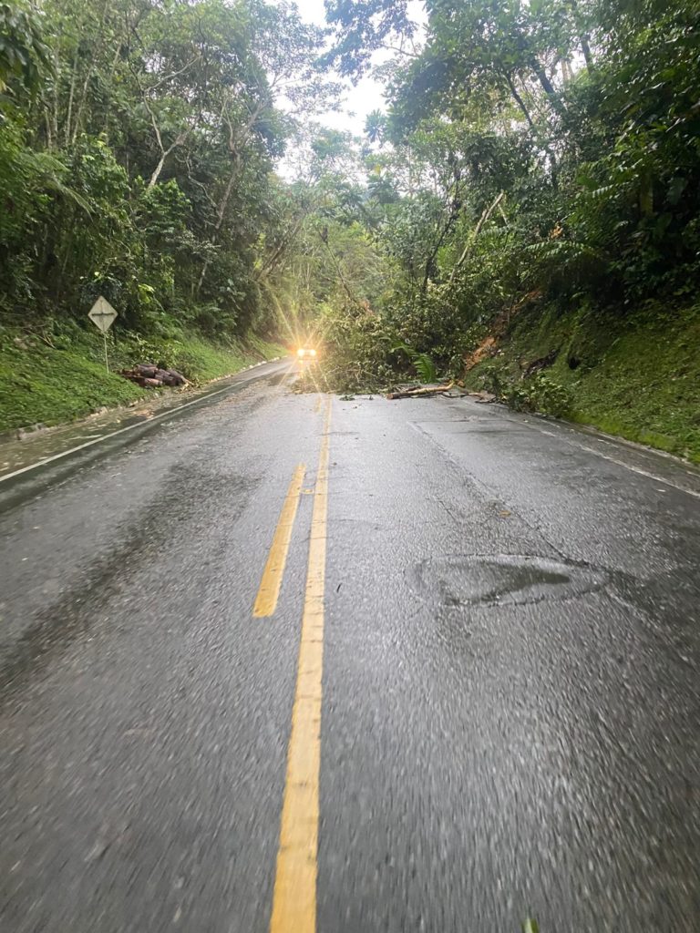 WhatsApp Image 2026 01 11 at 11.54.09 AM 3