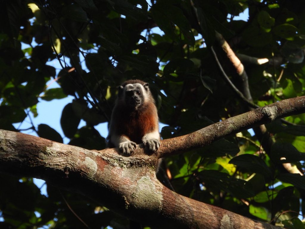 WhatsApp Image 2026 01 13 at 8.22.37 AM