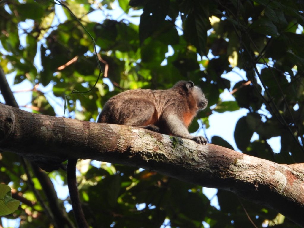 WhatsApp Image 2026 01 13 at 8.22.38 AM