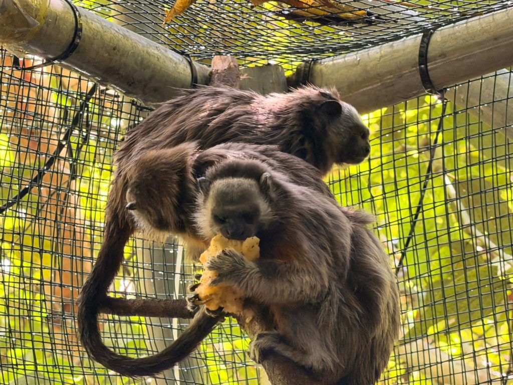 WhatsApp Image 2026 01 13 at 8.22.39 AM