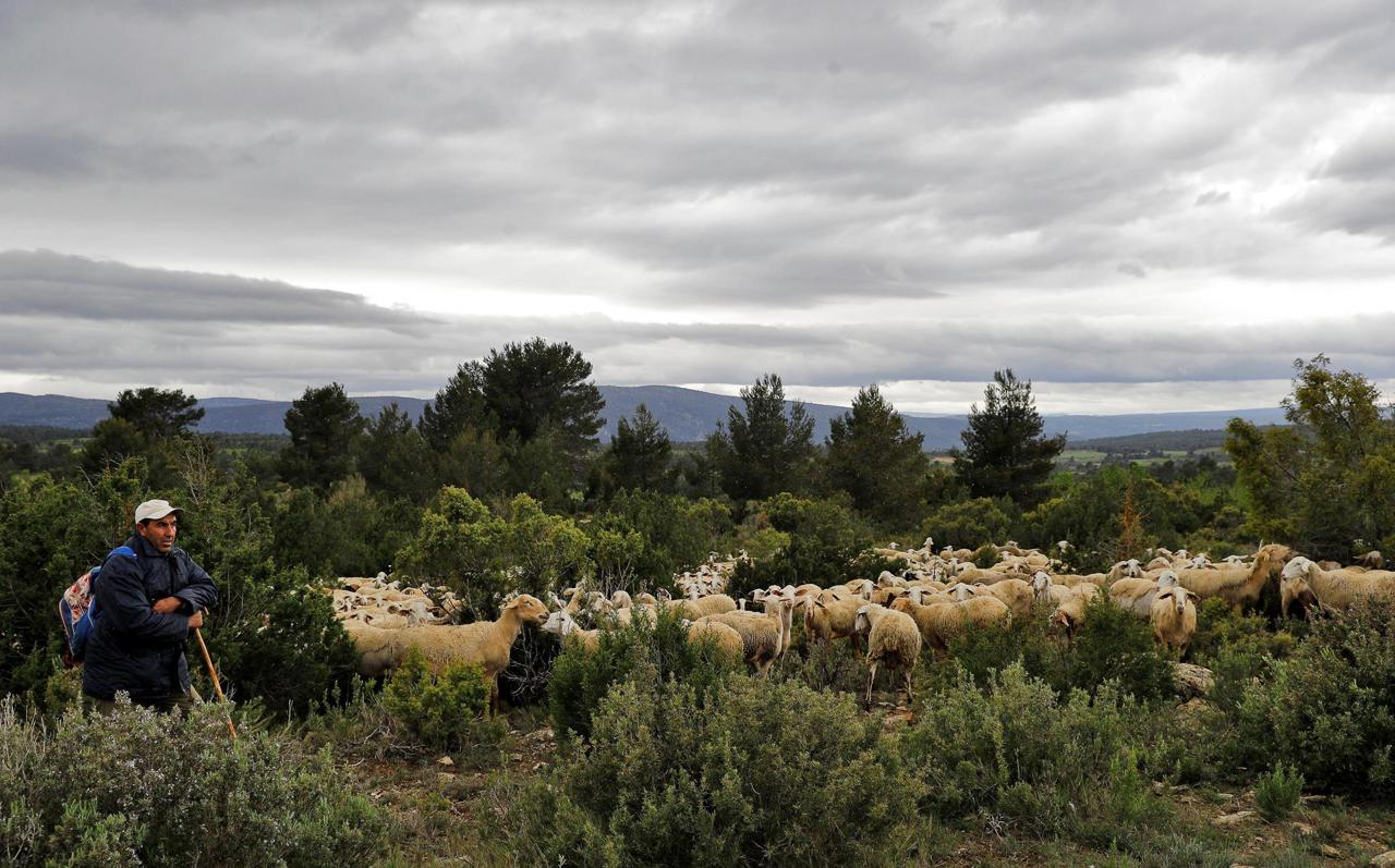 Calendario ambiental 2026: un año repleto de fechas para el medioambiente