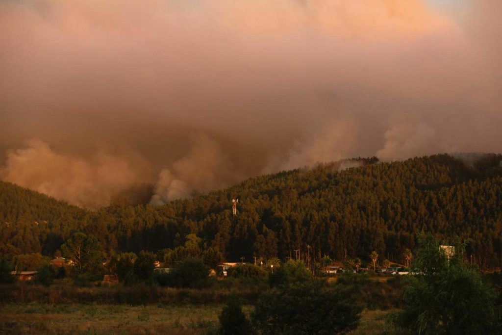 WhatsApp Image 2026 01 19 at 1.17.34 PM 1