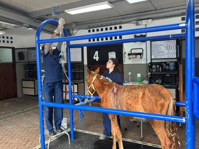 WhatsApp Image 2026 01 19 at 10.34.19