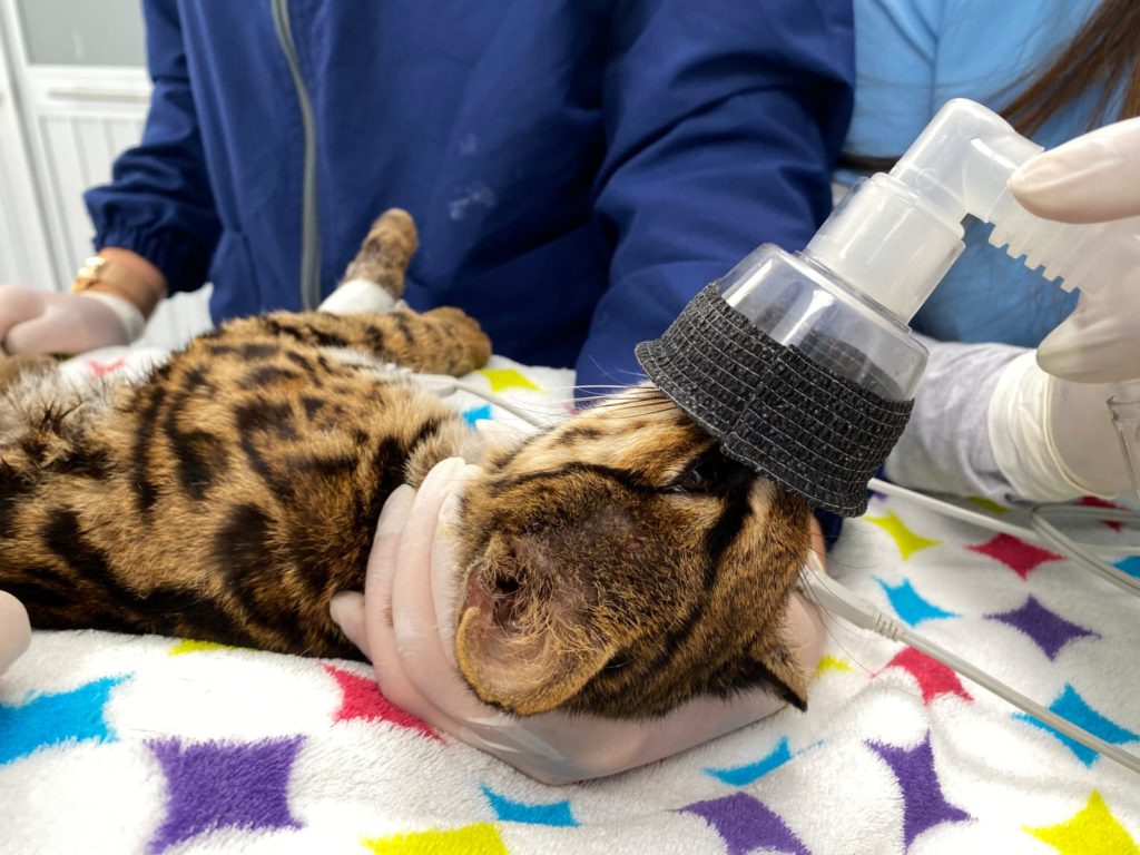 WhatsApp Image 2026 01 20 at 9.49.46 AM