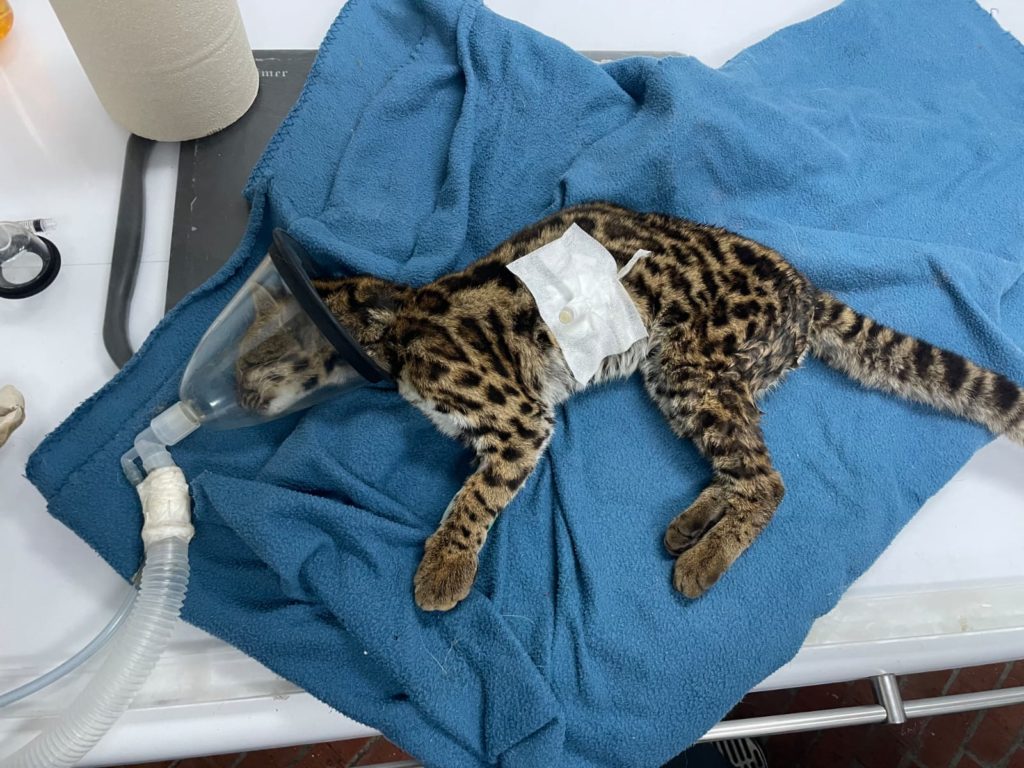 WhatsApp Image 2026 01 20 at 9.49.47 AM 1