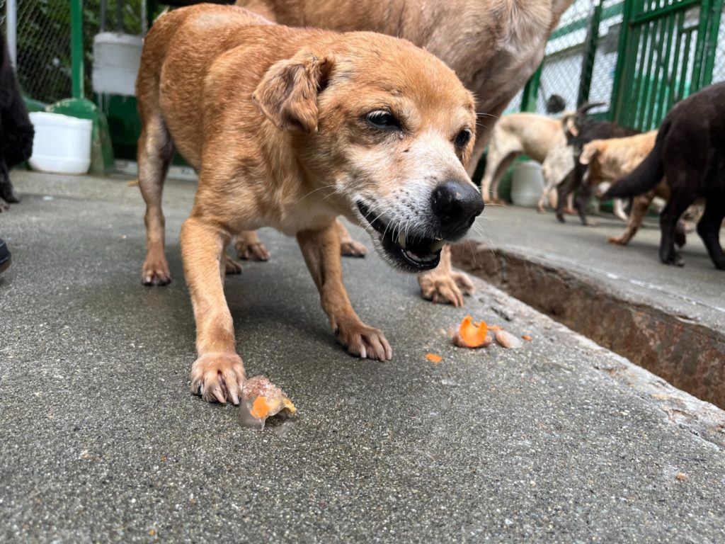 WhatsApp Image 2026 01 24 at 8.34.52 AM